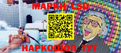 стаф Берёзовский