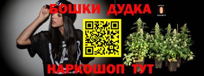 стаф Берёзовский