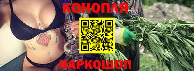 стаф Берёзовский