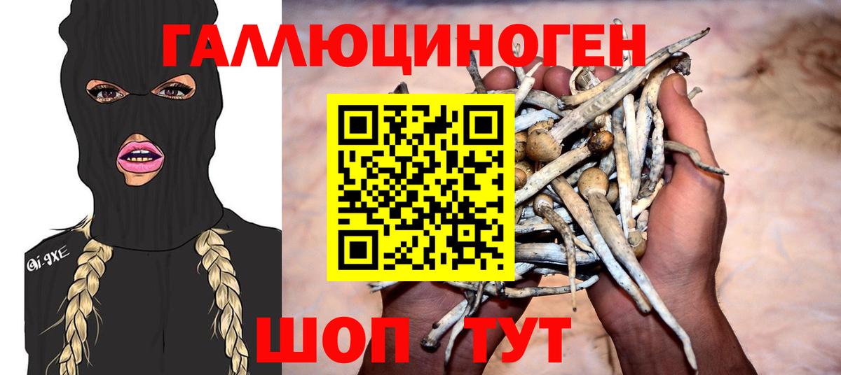 Галлюциногенные грибы Cubensis  Галлюциногенные грибы Magic Shrooms  Вход с VPN  Ивантеевка 